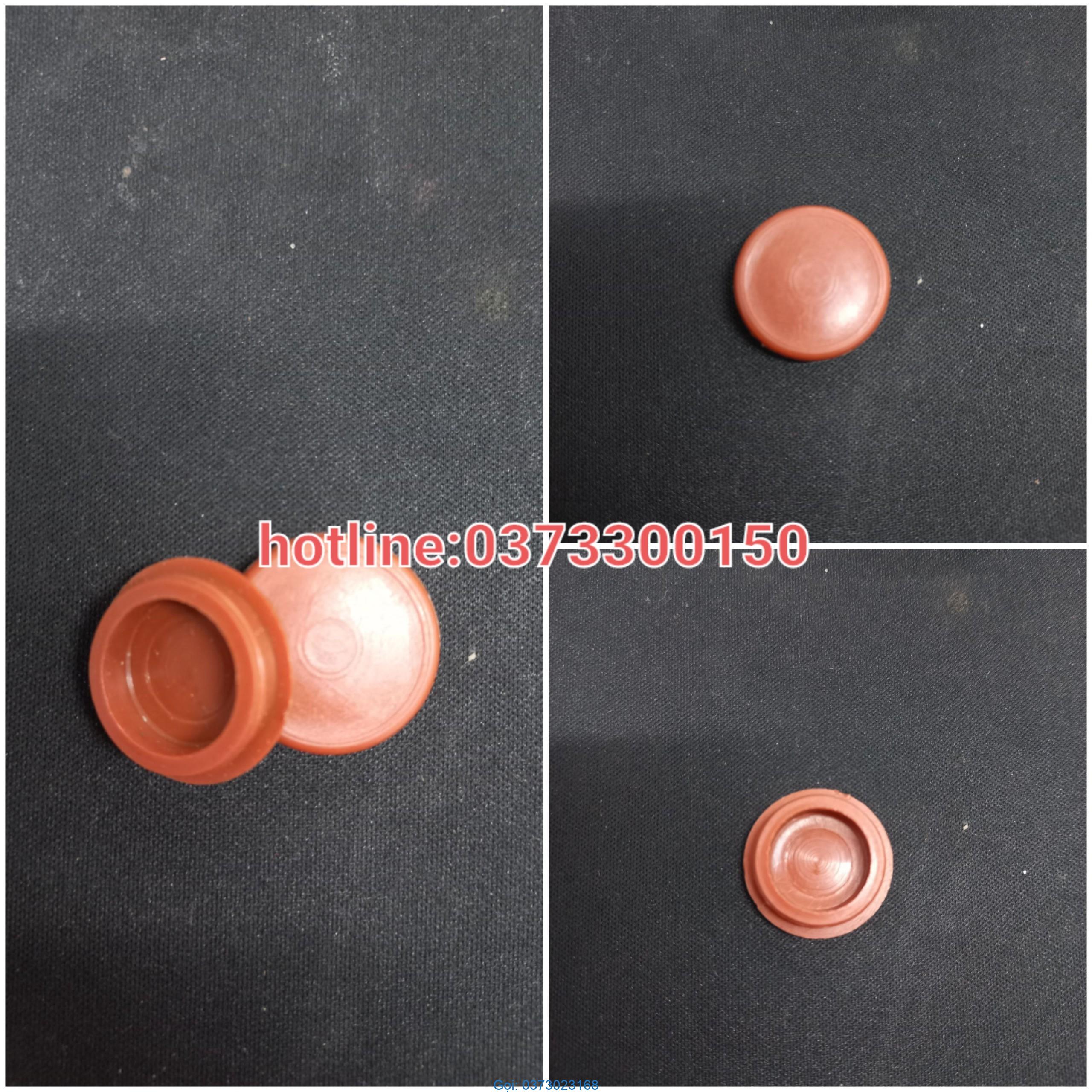 nap chup nhua phi 22