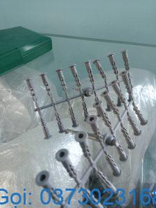 tắc kê xám